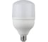 Лампа светодиодная ARTSUN LED T80 24W E27 4000K 1
