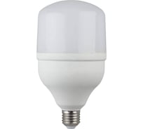 Лампа светодиодная ARTSUN LED T80 24W E27 6500K