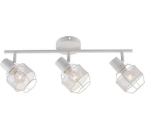 Настенно-потолочный светильник ESCADA 689/3P E14*40W White 689/3P White