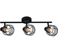 Настенно-потолочный светильник ESCADA 689/3P E14*40W Black 689/3P Black
