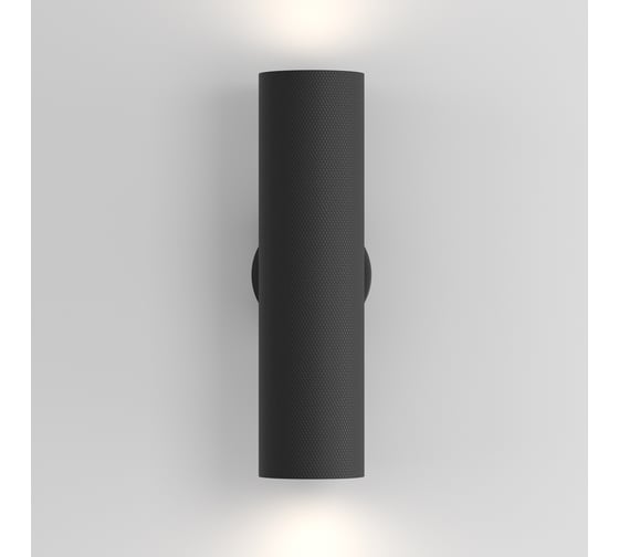 Настенный светильник (бра) MAYTONI Artisan C080WL-02-GU10-B