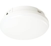 Светильник светодиодный FERON AL3025 с БАП в пластиковом корпусе 12W 4000K IP65 белый, 48985