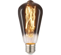 Лампа General Lighting Systems GLDEN-ST64DSS-6-230-E27-1800 Винтажный 1/5/20 General 661522