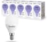 Светодиодная лампа Sweko 5 шт 42LED-G45-10W-230-6500K-E14 1