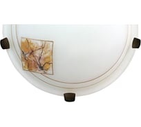 Светильник настенный ЭЛЕТЕХ Модерн 300/2 НББ 21-60 М19 1005202111