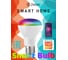 Умная лампа Zetton LED RGBCW Wi-Fi Bulb BR20 E27 8Вт ZTSHLBRGBCWE274RU 8