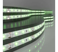 Светодиодная лента Elektrostandard 60Led, 4.8W, IP65, зеленый, 2835, 12V a040997