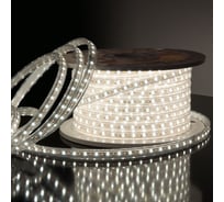 Светодиодная лента Premium Elektrostandard, 14W, 96Led, 2835, IP65, 50м,2700K/4000K/6500K мультибелая, с контроллером с ПДУ (LS013 220V) a041343