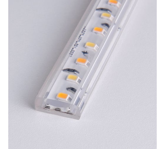 Светодиодная лента Premium Elektrostandard, 14W, 96Led, 2835, IP65, 50м,2700K/4000K/6500K мультибелая, с контроллером с ПДУ (LS013 220V) a041343