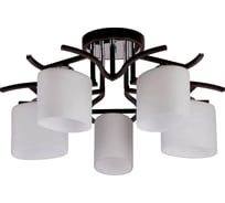 Потолочная люстра IMEX 5х60Вт E27 MD.2441-5-S BR+CH