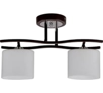 Потолочная люстра IMEX 2х60Вт E27 MD.2441-2-S BR+CH