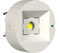 Аварийный светильник БЕЛЫЙ СВЕТ BS-RADAR-81-L1-INEXI2 White a23635