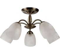 Потолочная люстра IMEX 5х60Вт E27 MD.50500-5-S AB