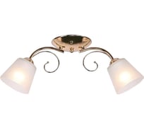 Потолочная люстра IMEX 2х60Вт E27 MD.0361-2-S FGD