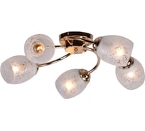 Потолочная люстра IMEX 5х60Вт E27 MD.0296-5-S FGD