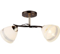 Потолочная люстра IMEX 2х60Вт Е27 MD.3202-2-S BK+FGD