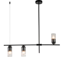Светильник на штанге ESCADA 2100/3P E14*40W Black 2100/3P Black