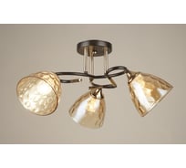 Потолочный светильник Мелодия Света 000067899