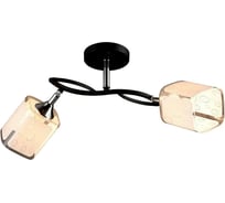 Потолочная люстра IMEX 2х60Вт Е27 MD.3499-2-S BK+CH