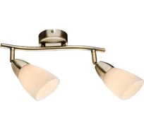 Светильник-спот IMEX 2х40Вт E14 AB SP.018-72-61