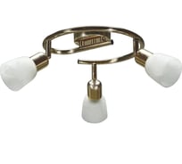 Светильник-спот IMEX 3х40Вт E14 FGD SP.015-83-62