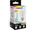 Светодиодная лампа Polaroid 220V FIL A60 7W 3000K E27 806lm PL-A60F7273 1
