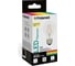 Светодиодная лампа Polaroid 220V FIL A60 7W 4000K E27 806lm PL-A60F7274 2
