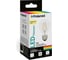 Светодиодная лампа Polaroid 220V FIL A60 8W 4000K E27 1055lm PL-A60F4284 1