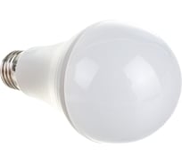 Светодиодная лампа Polaroid 220V A65 14W 4000K E27 1521lm PL-A65140274