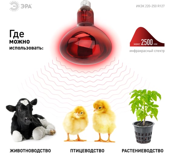 Инфракрасная лампа ЭРА ИКЗК 220-250 R127 красного света для обогрева животных Б0042980