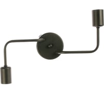 Светильник ЭЛЕТЕХ Фрейм 221 черный НСБ 01-2х60-111 Е27 ИУ 1005404234