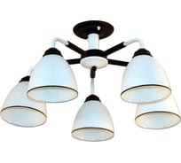 Светильник ЭЛЕТЕХ Поло/5-А, черный, НПБ 01-5х60-126 Е27, ИУ, 1005404372