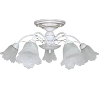 Светильник ЭЛЕТЕХ Магнолия, 151, белый, Плафон 62333, НСБ 01-5х60-112, Е14, ИУ 1005403843