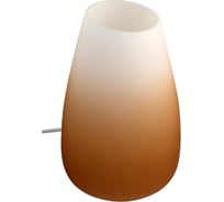 Светильник ЭЛЕТЕХ Либра, 250, ННБ 63-60-007, опал матовый-терракотовый/шнур белый 1005301178