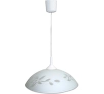 Светильник ЭЛЕТЕХ Гелиос 360, НСБ 72-60 М50, матовый белый, белый шнур, ИУ, 1005251551