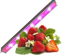 Фитосветильник Протон светодиодный ФИТО-Оптима для досветки универсальный SSO-220/56-05.2(FGO-UP)