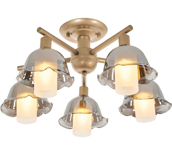 Потолочная люстра на штанге MyFar Lisa MR1481-5C