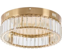 Потолочная люстра MyFar светодиодная Irina MR2010-1CL
