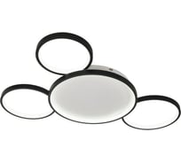 Потолочная люстра MyFar светодиодная Emma MR1200-4CL