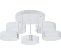 Потолочная люстра MyFar светодиодная Vinsent MR1871-5CL