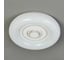 Потолочный светильник ESCADA *80W White 10221/SG LED 2