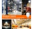 Высокомощная светодиодная лампа Osram LED STARHW 25W/865 230V E27 12x1 RU 4099854121050 3