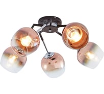 Потолочный светильник ESCADA E27*60W Black/Chrome 1176/5P