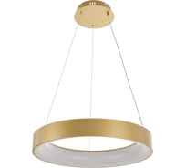 Подвесной светодиодный светильник MyFar Shannon MR2192-1PL