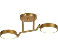 Потолочный светильник ESCADA 10273/2 LED*24W Champagne gold 10273/2LED