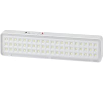 Аварийный светодиодный светильник ЭРА, DBA103020, непостоянный, 60LED, 5ч, Б0044396