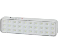 Светильник светодиодный ЭРА, DBA102020, аварийный, непостоянный, 30LED, 5ч, Б0044395