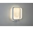 Настенный светильник ESCADA *15W White 10207/SG LED 3
