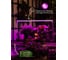 Светильник для растений Uniel, светодиодный, линейный, 1150 мм, ULI-P21-35W/SPSB, IP40, WHITE, UL-00002993 4