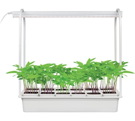 Светильник Uniel, набор минисад, ULT-P34-10W/SPSB, IP40, WHITE, 12, UL-00004149